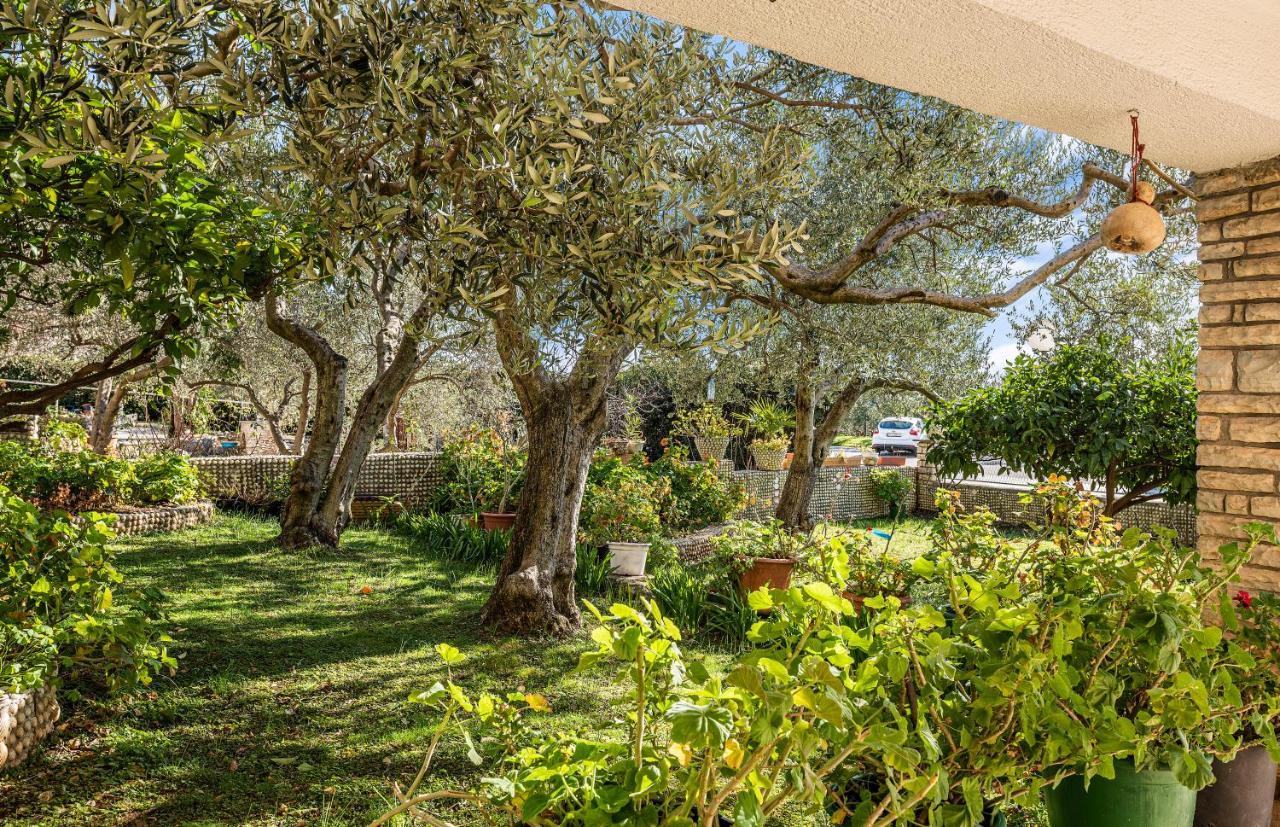 Apartmani Barun شيبينيك المظهر الخارجي الصورة